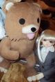 DSC03979.JPG