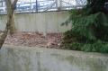 DSC01489.jpg