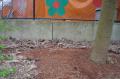 DSC01490.jpg