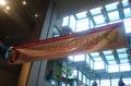 DSC01511.jpg