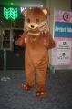 DSC01532.JPG